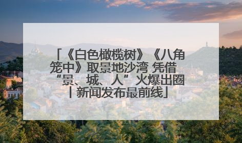 《白色橄榄树》《八角笼中》取景地沙湾 凭借“景、城、人”火爆出圈丨新闻发布最前线
