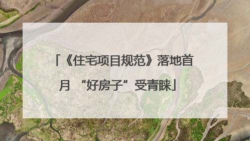 《住宅项目规范》落地首月 “好房子”受青睐