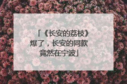 《长安的荔枝》爆了，长安的同款竟然在宁波