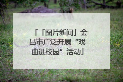 「图片新闻」金昌市广泛开展“戏曲进校园”活动