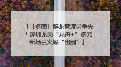 「多图」群龙竞渡勇争先！深圳龙岗“龙舟+”多元新场景火爆“出圈”