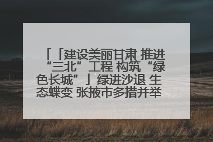 「建设美丽甘肃 推进“三北”工程 构筑“绿色长城”」绿进沙退 生态蝶变 张掖市多措并举加大防沙治沙力度