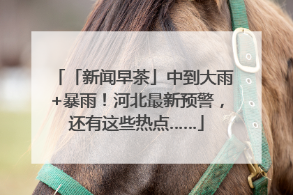 「新闻早茶」中到大雨+暴雨！河北最新预警，还有这些热点……