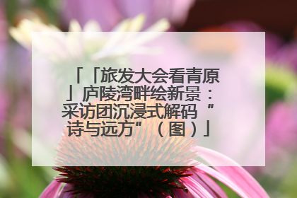「旅发大会看青原」庐陵湾畔绘新景：采访团沉浸式解码“诗与远方”（图）
