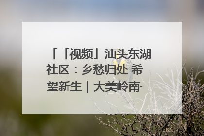 「视频」汕头东湖社区：乡愁归处 希望新生｜大美岭南·百村焕新记