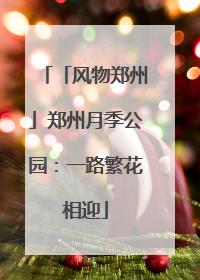 「风物郑州」郑州月季公园：一路繁花相迎