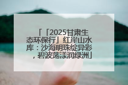 「2025甘肃生态环保行」红崖山水库：沙海明珠绽异彩，碧波荡漾润绿洲