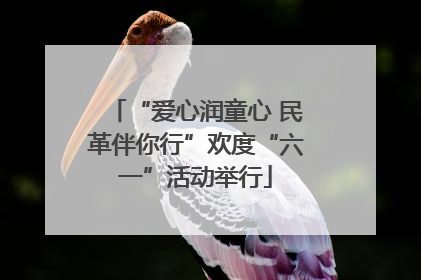 “爱心润童心 民革伴你行”欢度“六一”活动举行