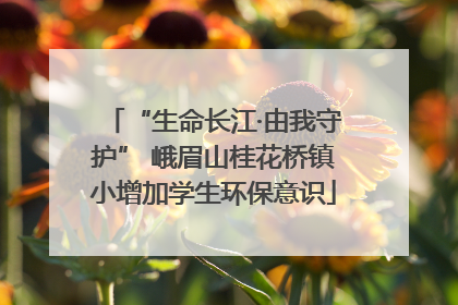 “生命长江·由我守护” 峨眉山桂花桥镇小增加学生环保意识