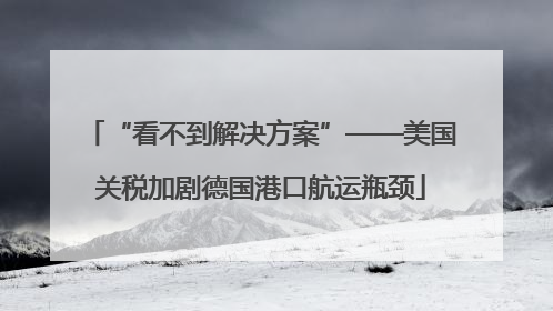 “看不到解决方案”——美国关税加剧德国港口航运瓶颈