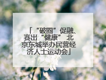 “破圈”促融、赛出“健康” 北京东城举办民营经济人士运动会