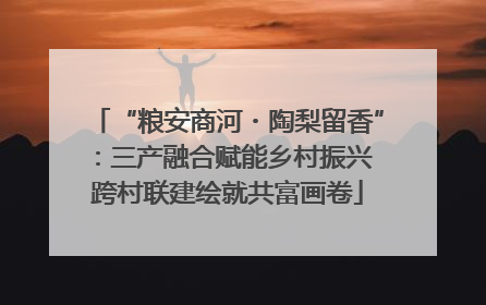 “粮安商河・陶梨留香”：三产融合赋能乡村振兴 跨村联建绘就共富画卷