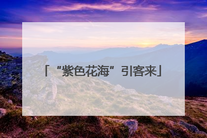 “紫色花海”引客来