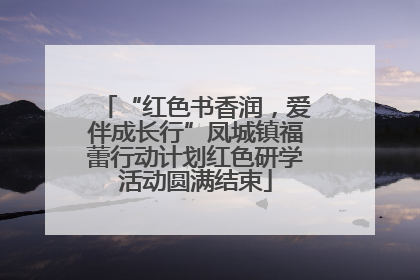 “红色书香润，爱伴成长行”凤城镇福蕾行动计划红色研学活动圆满结束