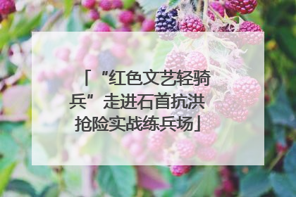 “红色文艺轻骑兵”走进石首抗洪抢险实战练兵场