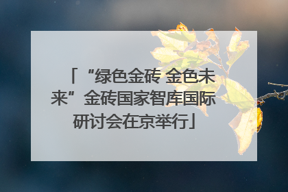 “绿色金砖 金色未来”金砖国家智库国际研讨会在京举行