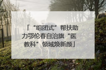 “组团式”帮扶助力鄂伦春自治旗“医教科”领域焕新颜
