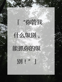 “你管我什么级别，能抓你的级别！”