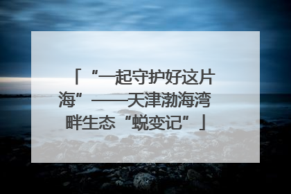 “一起守护好这片海”——天津渤海湾畔生态“蜕变记”