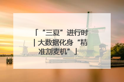 “三夏”进行时｜大数据化身“精准割麦机”