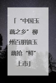 “中国玉藕之乡”柳州百朋镇玉藕抢“鲜”上市