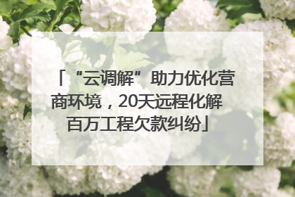 “云调解”助力优化营商环境，20天远程化解百万工程欠款纠纷