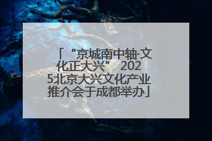 “京城南中轴·文化正大兴” 2025北京大兴文化产业推介会于成都举办