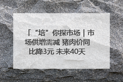 “培”你探市场｜市场供增需减 猪肉价同比降3元 未来40天便宜猪肉敞开吃