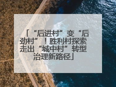 “后进村”变“后劲村”！胜利村探索走出“城中村”转型治理新路径