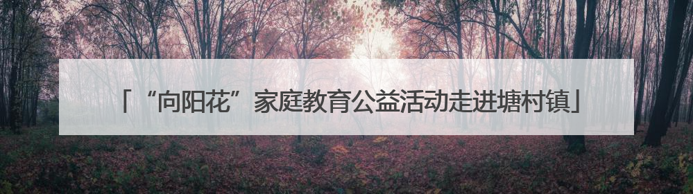 “向阳花”家庭教育公益活动走进塘村镇