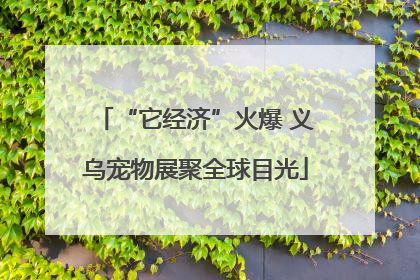 “它经济”火爆 义乌宠物展聚全球目光