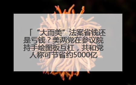 “大而美”法案省钱还是亏钱？美两党在参议院持手绘图板互杠，共和党人称可节省约5000亿美元，民主党人称将增加4.45万亿美元赤字
