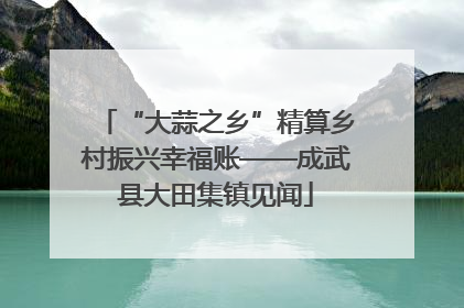 “大蒜之乡”精算乡村振兴幸福账——成武县大田集镇见闻