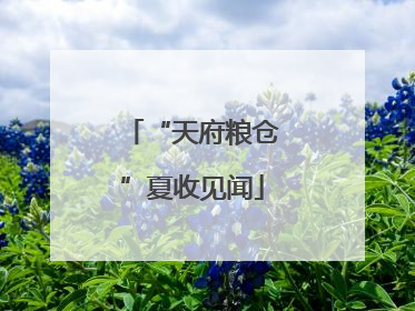 “天府粮仓”夏收见闻