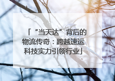“当天达”背后的物流传奇：跨越速运科技实力引领行业