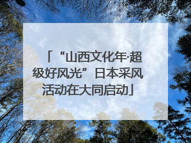 “山西文化年·超级好风光”日本采风活动在大同启动