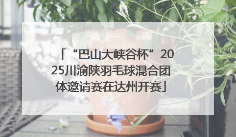 “巴山大峡谷杯”2025川渝陕羽毛球混合团体邀请赛在达州开赛