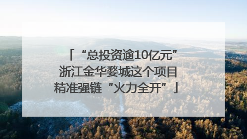 “总投资逾10亿元” 浙江金华婺城这个项目精准强链“火力全开”