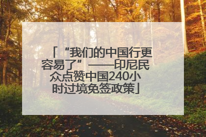 “我们的中国行更容易了”——印尼民众点赞中国240小时过境免签政策