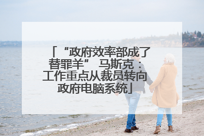 “政府效率部成了替罪羊” 马斯克：工作重点从裁员转向政府电脑系统