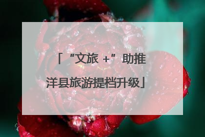 “文旅 +”助推洋县旅游提档升级