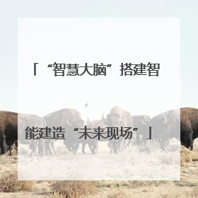 “智慧大脑”搭建智能建造“未来现场”