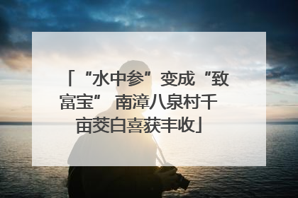 “水中参”变成“致富宝” 南漳八泉村千亩茭白喜获丰收