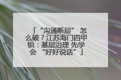“沟通断层” 怎么破？江苏海门四甲镇：基层治理 先学会 “好好说话”