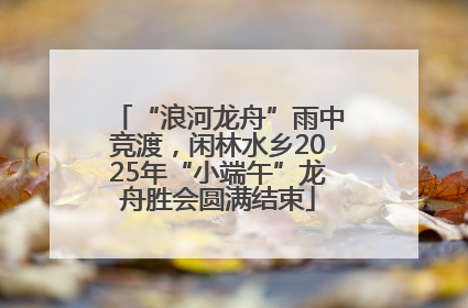 “浪河龙舟”雨中竞渡，闲林水乡2025年“小端午”龙舟胜会圆满结束