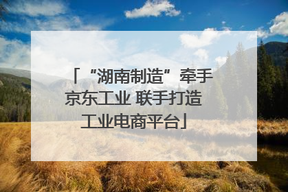 “湖南制造”牵手京东工业 联手打造工业电商平台