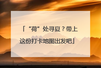 “荷”处寻夏？带上这份打卡地图出发吧