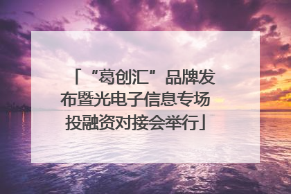“葛创汇”品牌发布暨光电子信息专场投融资对接会举行