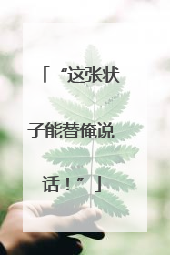 “这张状子能替俺说话！”