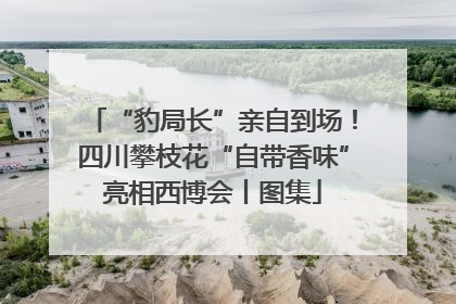 “豹局长”亲自到场！四川攀枝花“自带香味”亮相西博会丨图集